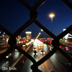 thefods-no-border-3000